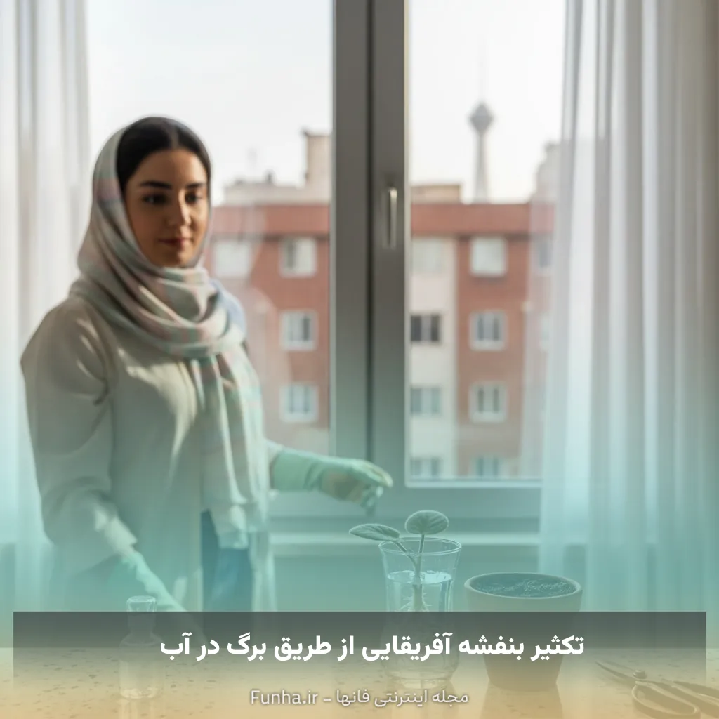 تکثیر بنفشه آفریقایی از طریق برگ در آب