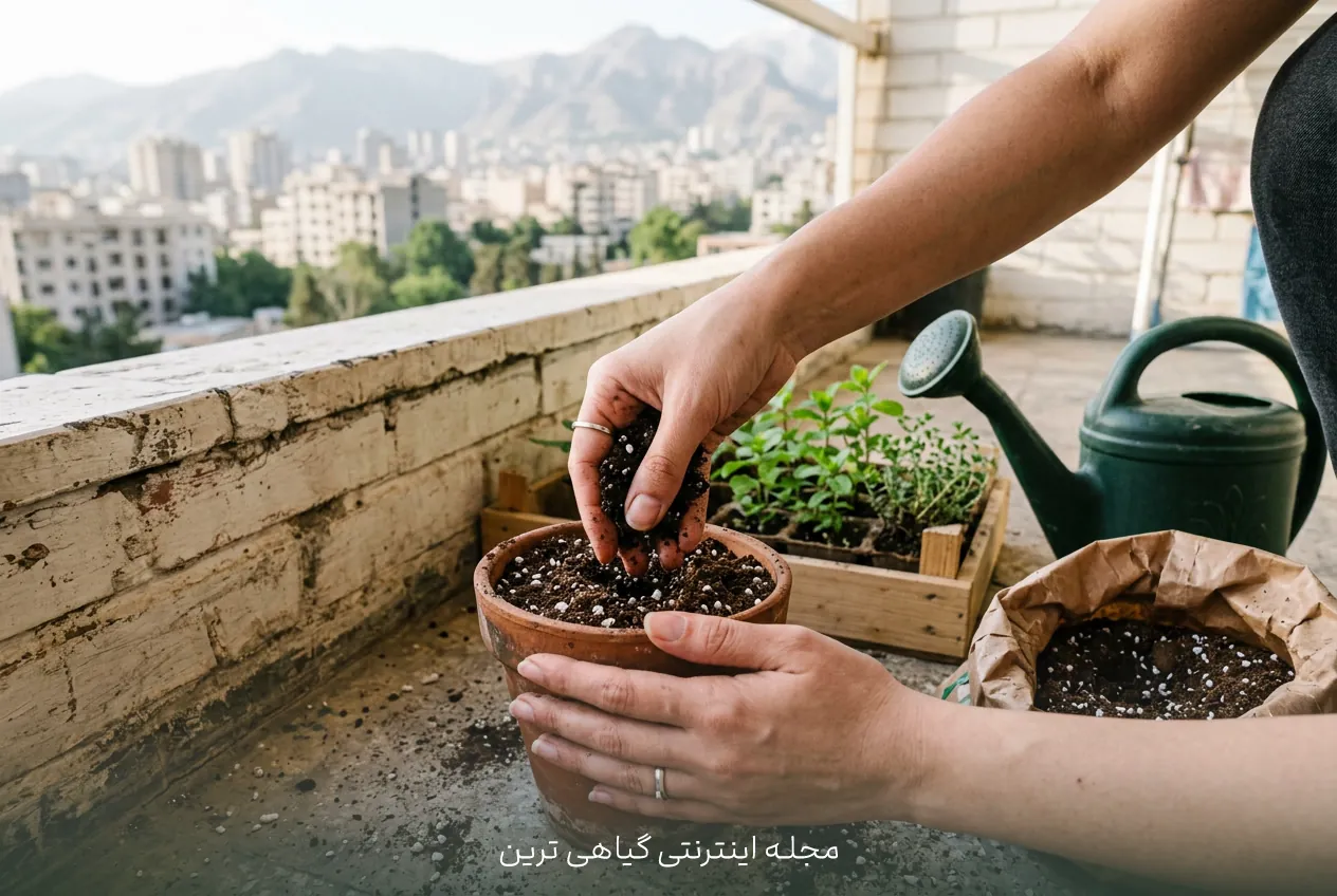 تصویر مراحل کاشت گیاهان دارویی در گلدان
