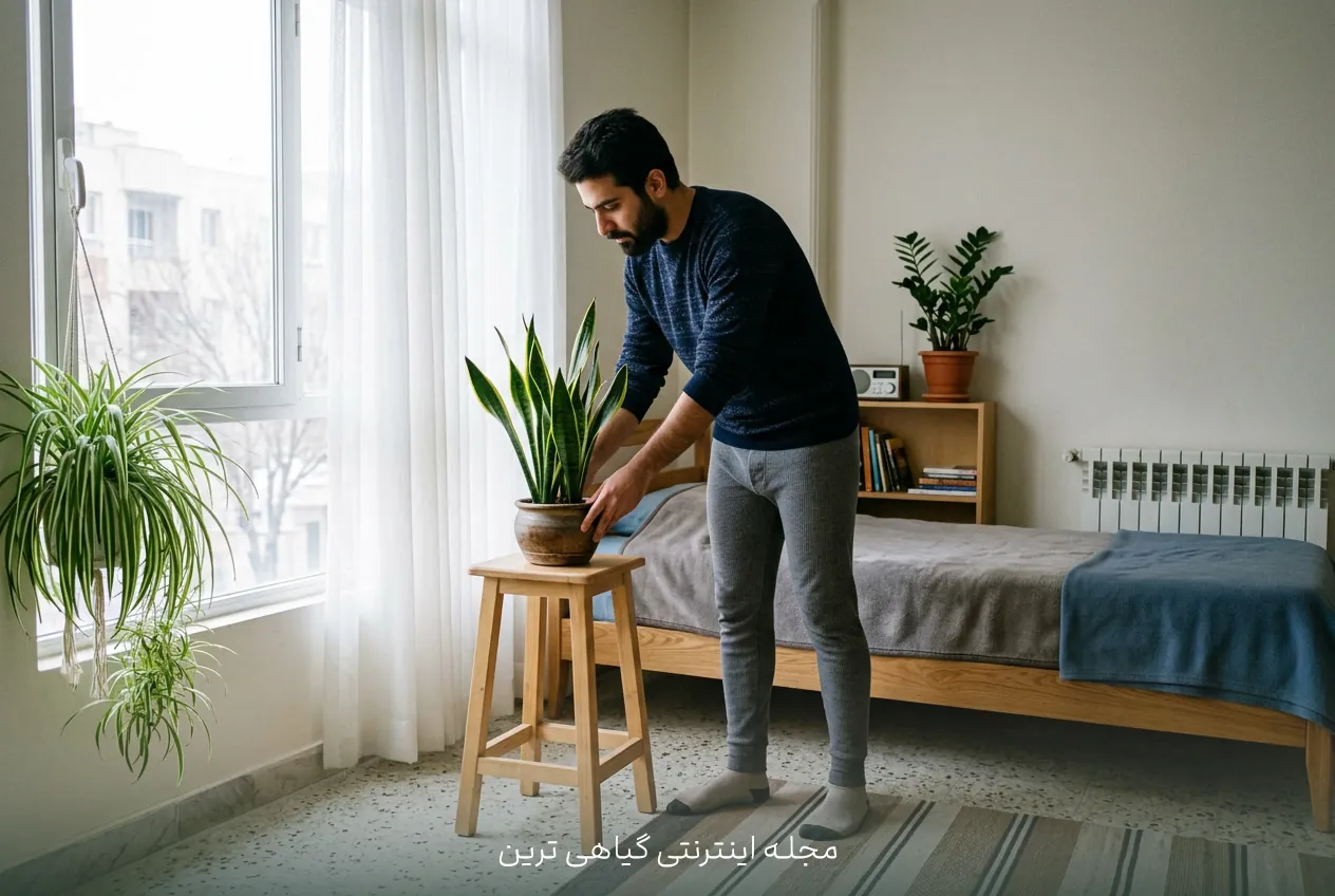 ترکیب ساده گیاهان آپارتمانی برای افراد مبتدی در اتاق خواب