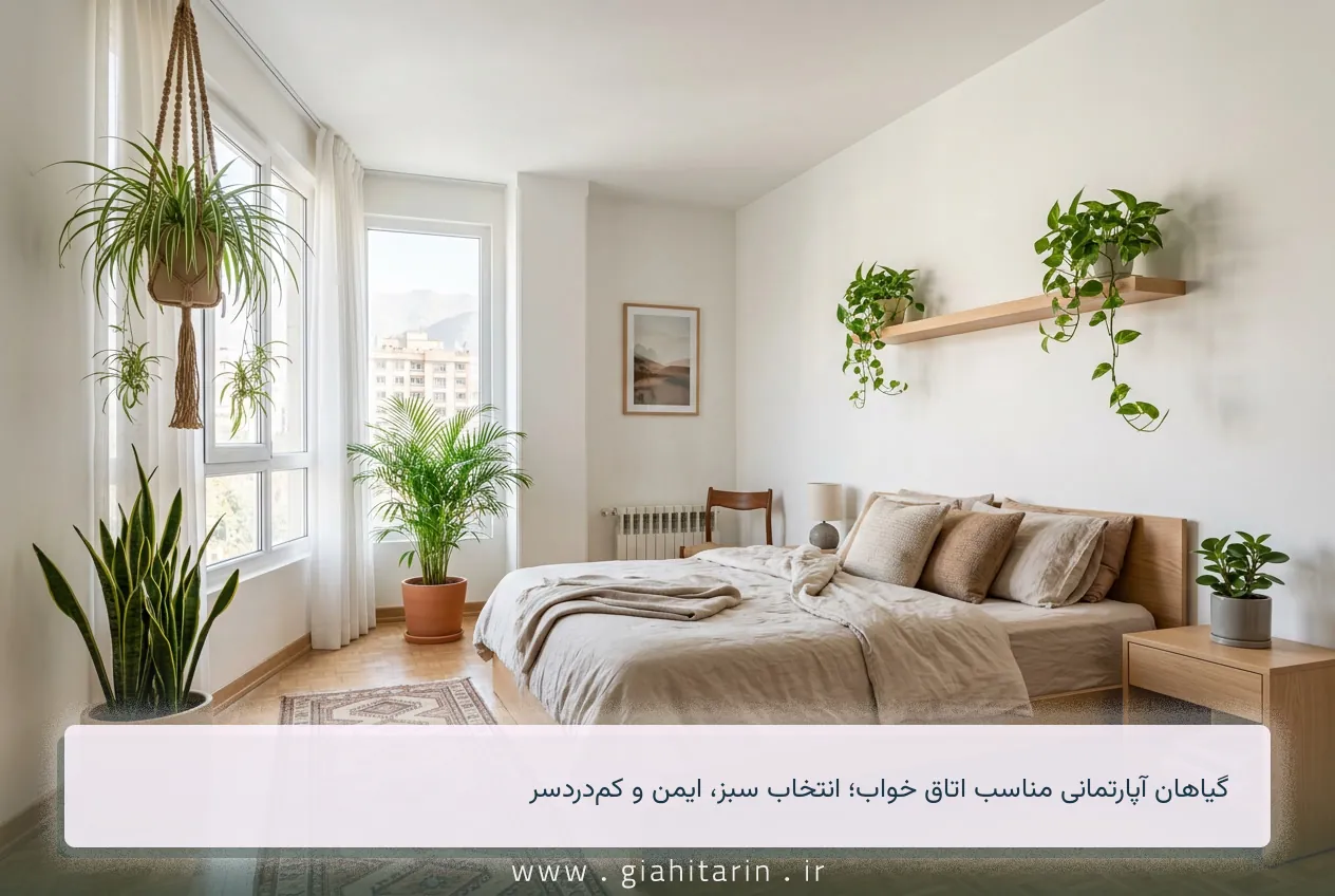 گیاهان آپارتمانی مناسب اتاق خواب؛ انتخاب سبز، ایمن و کم‌دردسر