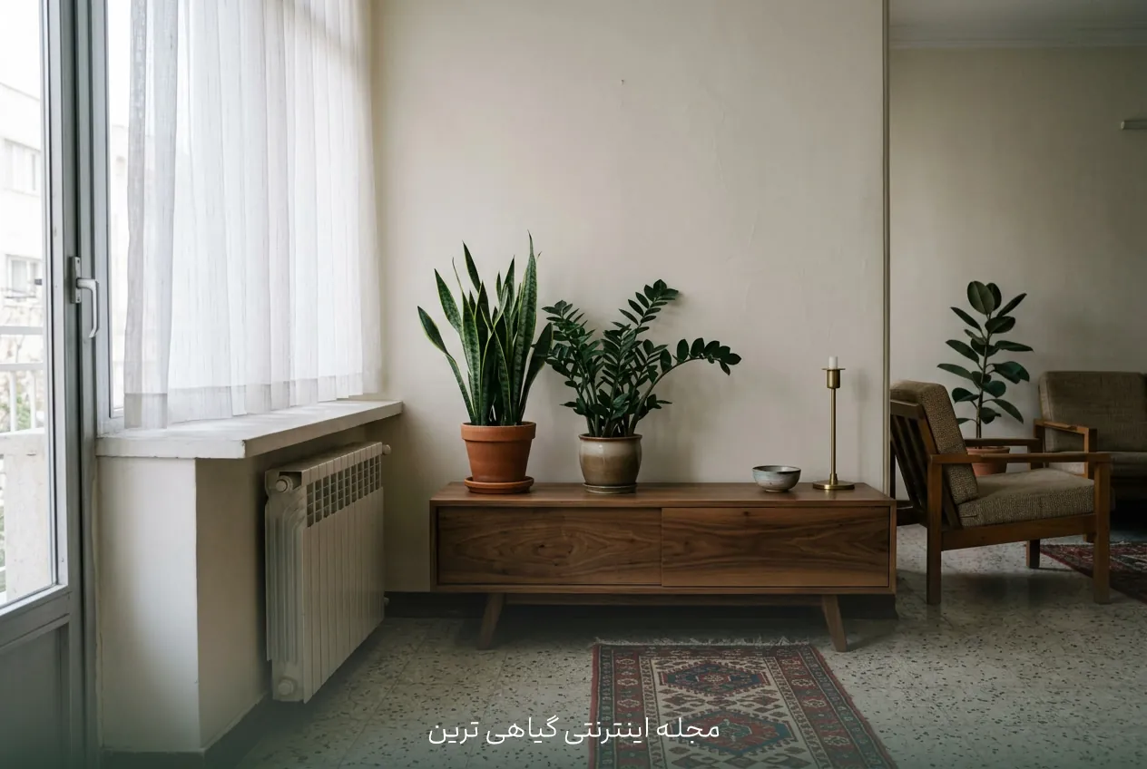 نمونه‌ای از گیاهان آپارتمانی مقاوم به نور کم