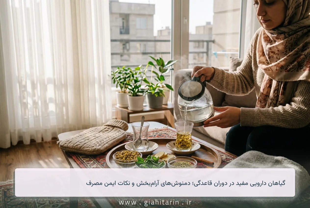 گیاهان دارویی مفید در دوران قاعدگی؛ دمنوش‌های آرام‌بخش و نکات ایمن مصرف