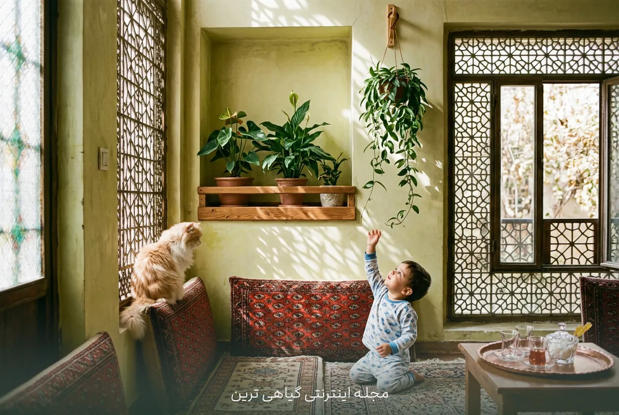 ایمنی گیاهان آپارتمانی برای کودک و حیوان خانگی