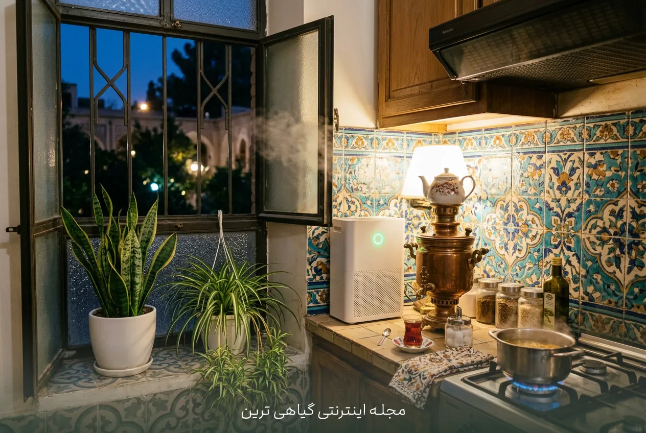 نقش گیاهان آپارتمانی در بهبود کیفیت هوای خانه
