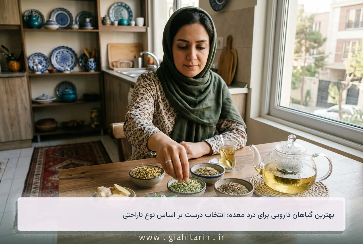 بهترین گیاهان دارویی برای درد معده؛ انتخاب درست بر اساس نوع ناراحتی