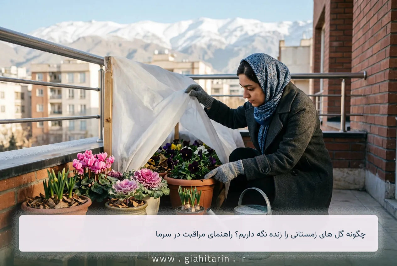 چگونه گل های زمستانی را زنده نگه داریم؟ راهنمای مراقبت در سرما