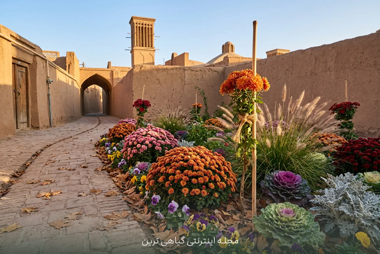 ترکیب گل داوودی با گیاهان همراه در باغچه پاییزی