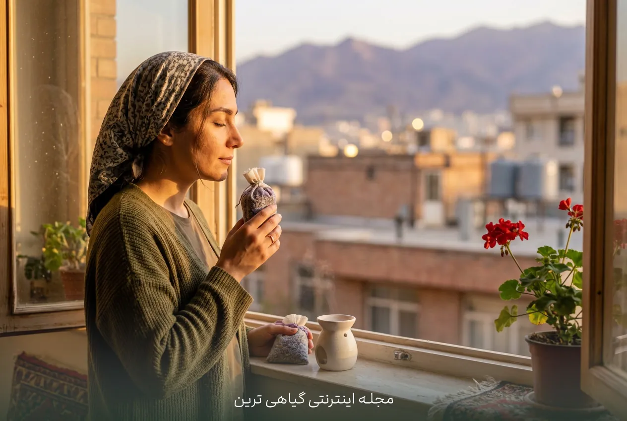 نمایی از گل‌های اسطوخودوس؛ رایحه‌ای برای آرامش اعصاب
