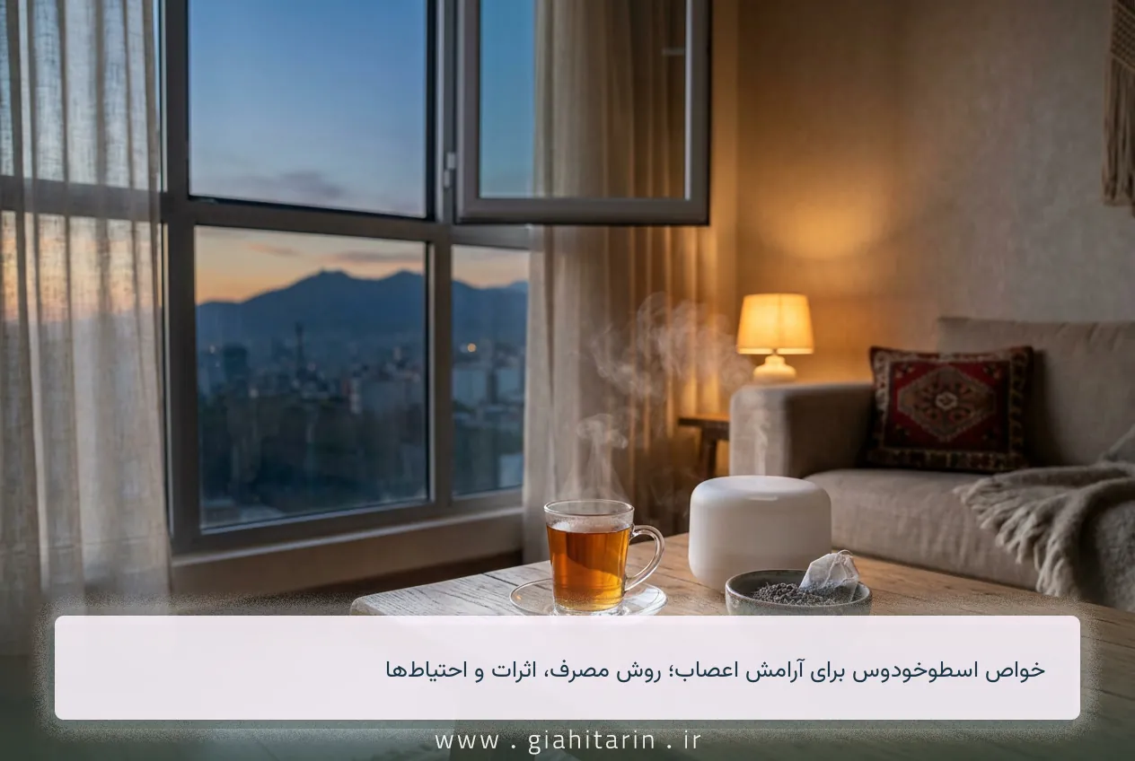 خواص اسطوخودوس برای آرامش اعصاب؛ روش مصرف، اثرات و احتیاط‌ها