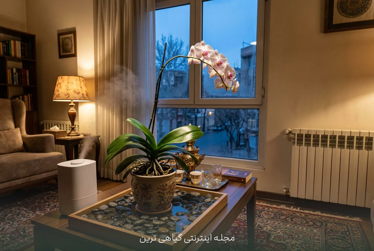 ایمنی ارکیده برای کودکان و حیوانات خانگی