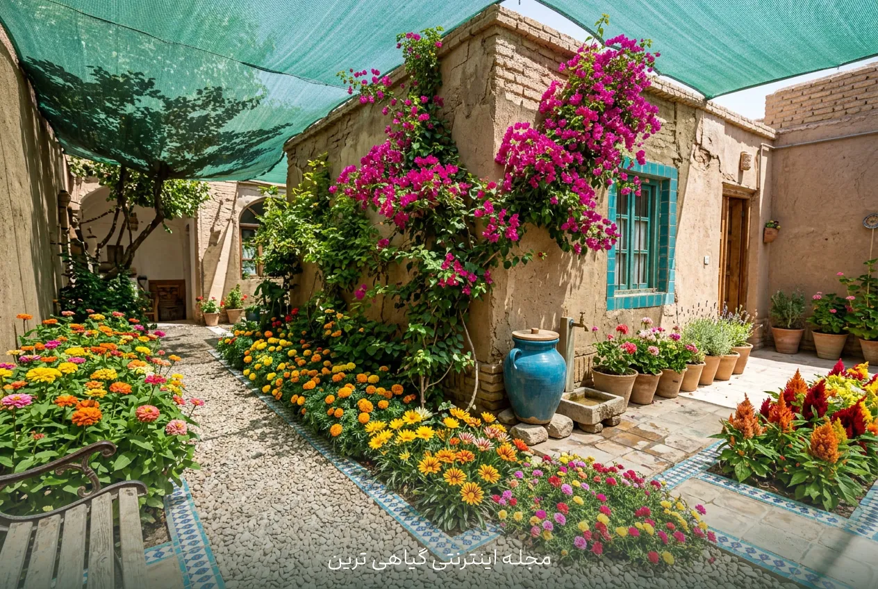 معرفی گلهای مناسب باغچه و بالکن داغ