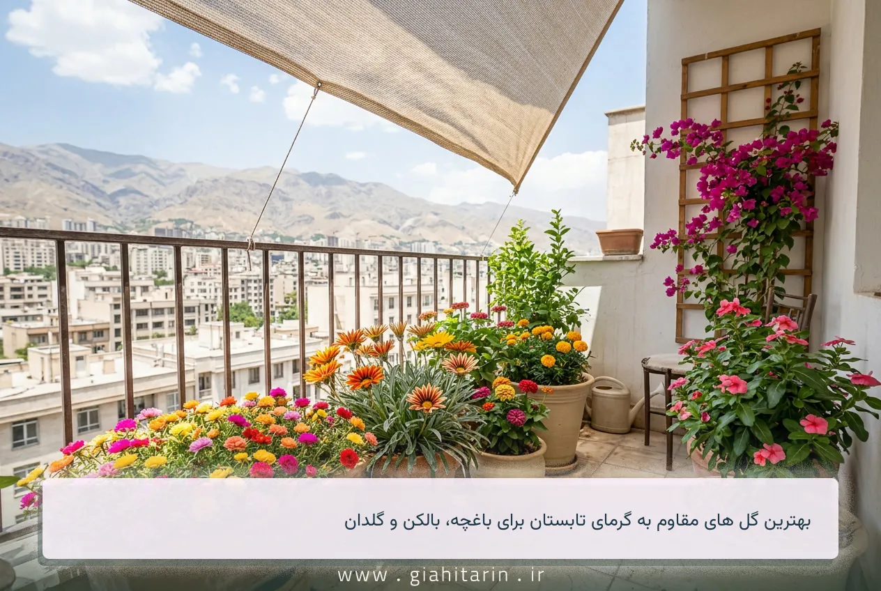 بهترین گل های مقاوم به گرمای تابستان برای باغچه، بالکن و گلدان