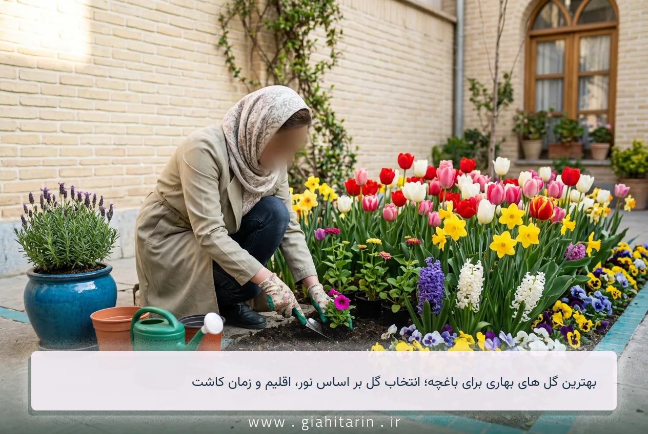 بهترین گل های بهاری برای باغچه؛ انتخاب گل بر اساس نور، اقلیم و زمان کاشت