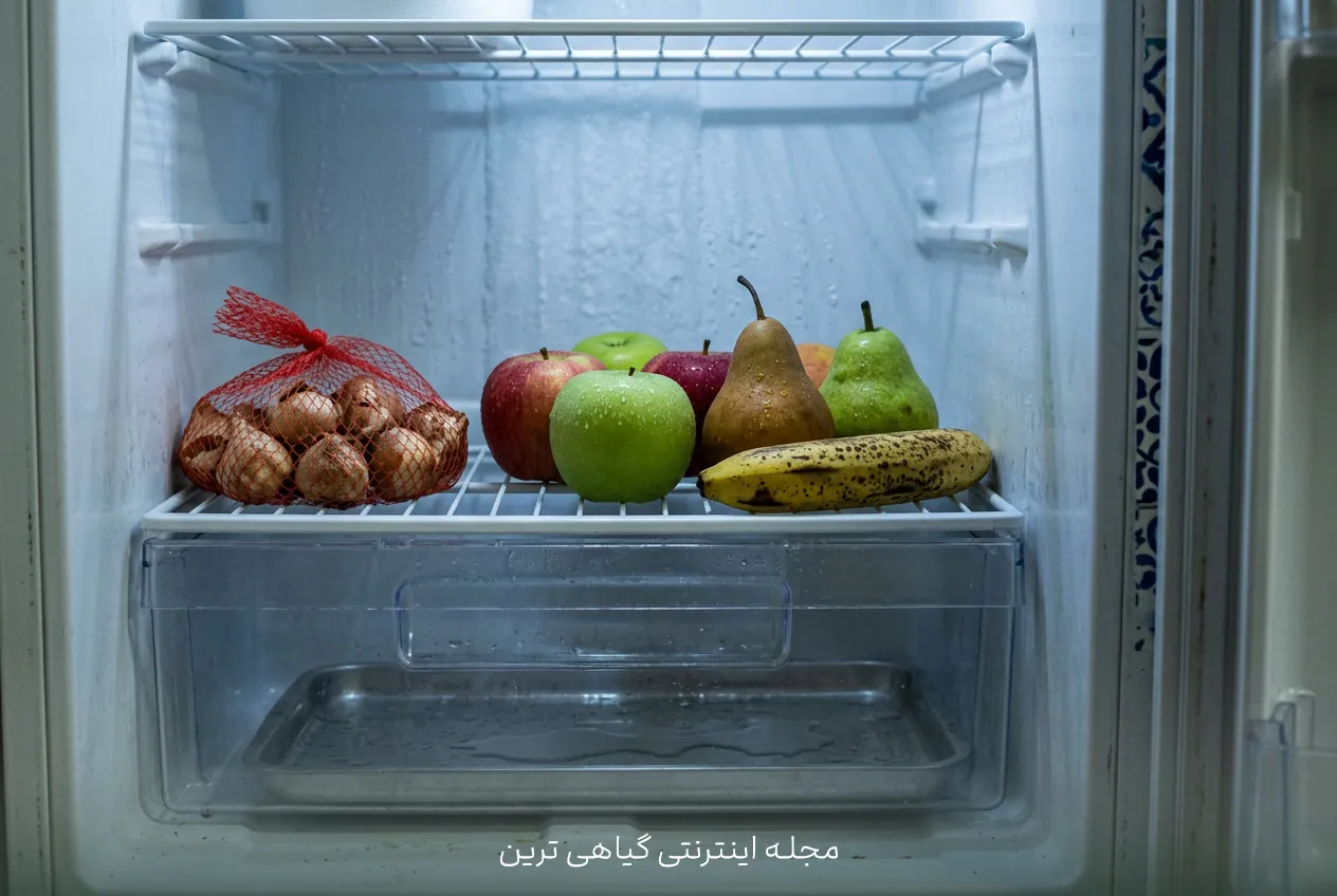 اشتباهات رایج در کاشت و نگهداری لاله